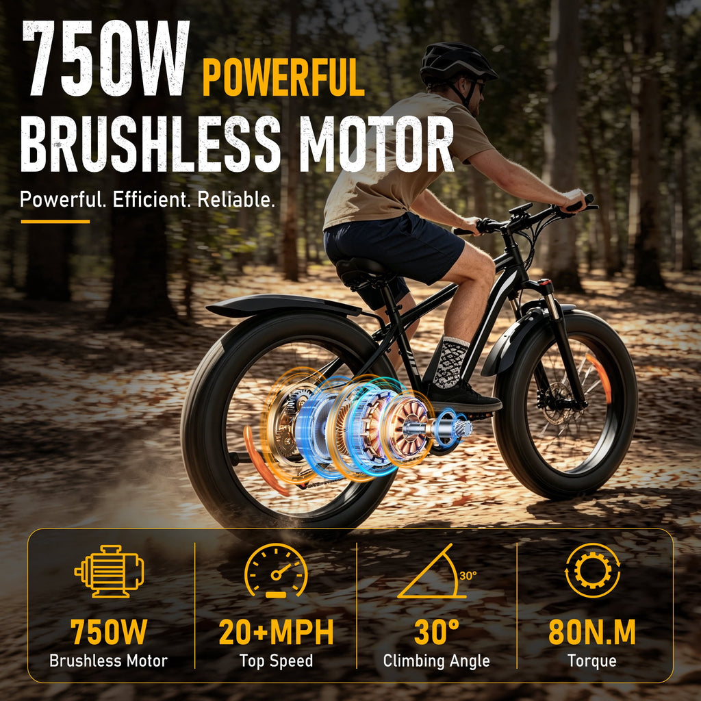 AMYET EB26 750W Electric Bike for Adults, 26" x 4" Fat Tire, 48V 15Ah, Black