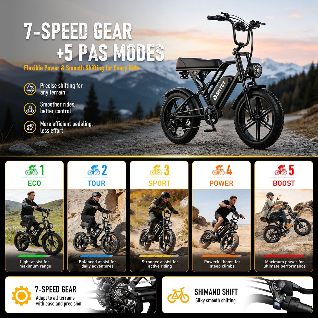 AMYET G60 Electric Bike for Adults, 750W Motor, 20 MPH, 48V 20Ah 960Wh Battery, 20" x 4" Fat Tires, Full Suspension, UL 2849