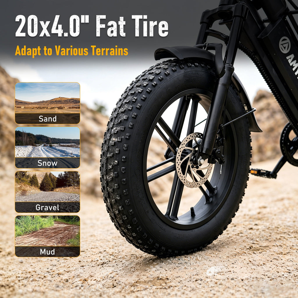 AMYET G60 Electric Bike for Adults, 750W Motor, 20 MPH, 48V 20Ah 960Wh Battery, 20" x 4" Fat Tires, Full Suspension, UL 2849