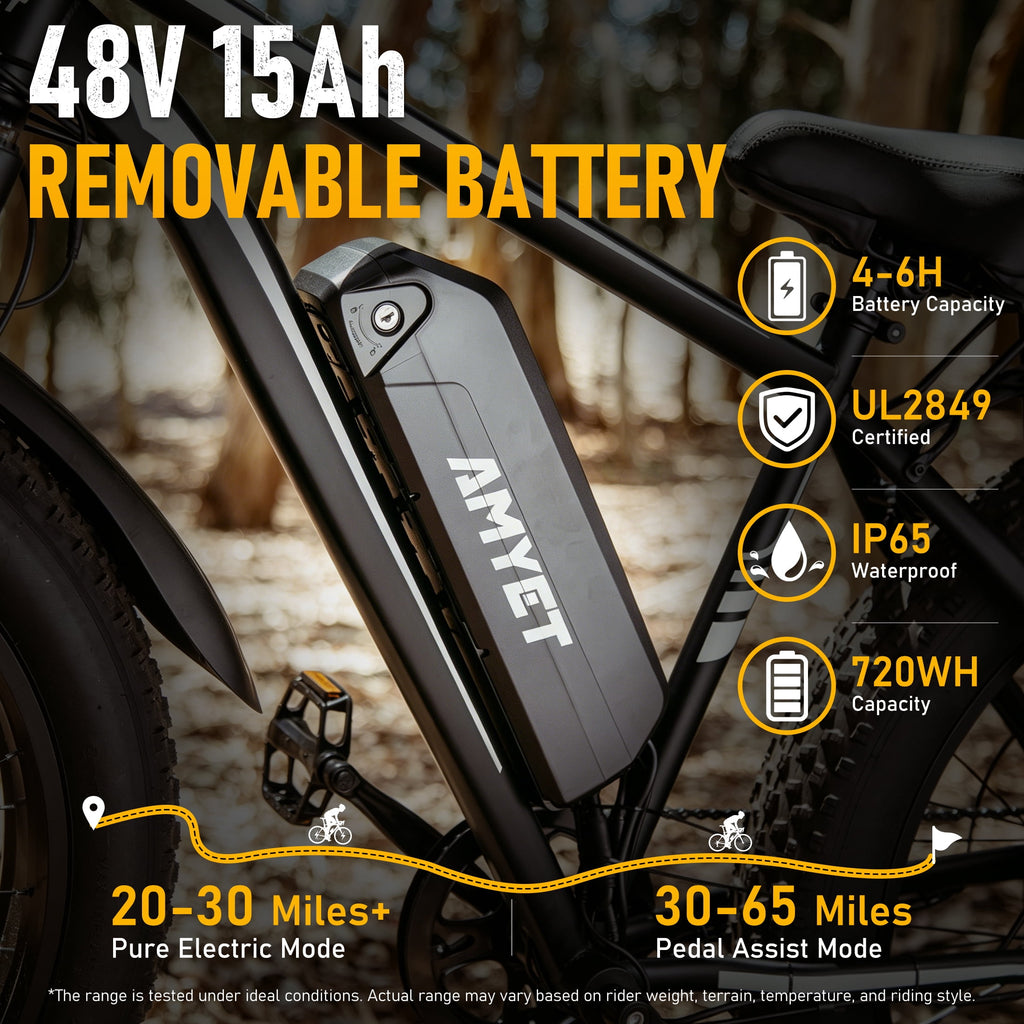 AMYET EB26 750W Electric Bike for Adults, 26" x 4" Fat Tire, 48V 15Ah, Black